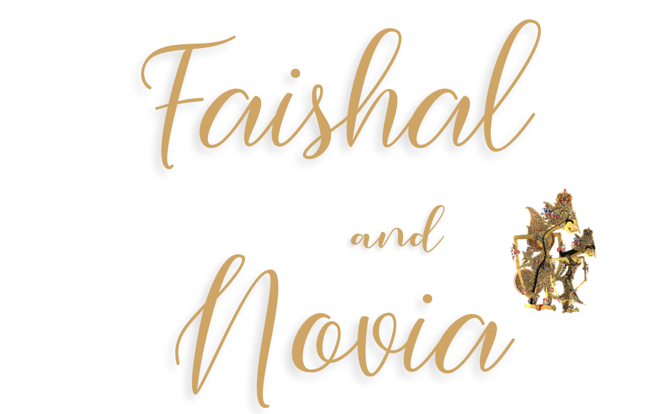 novia 1