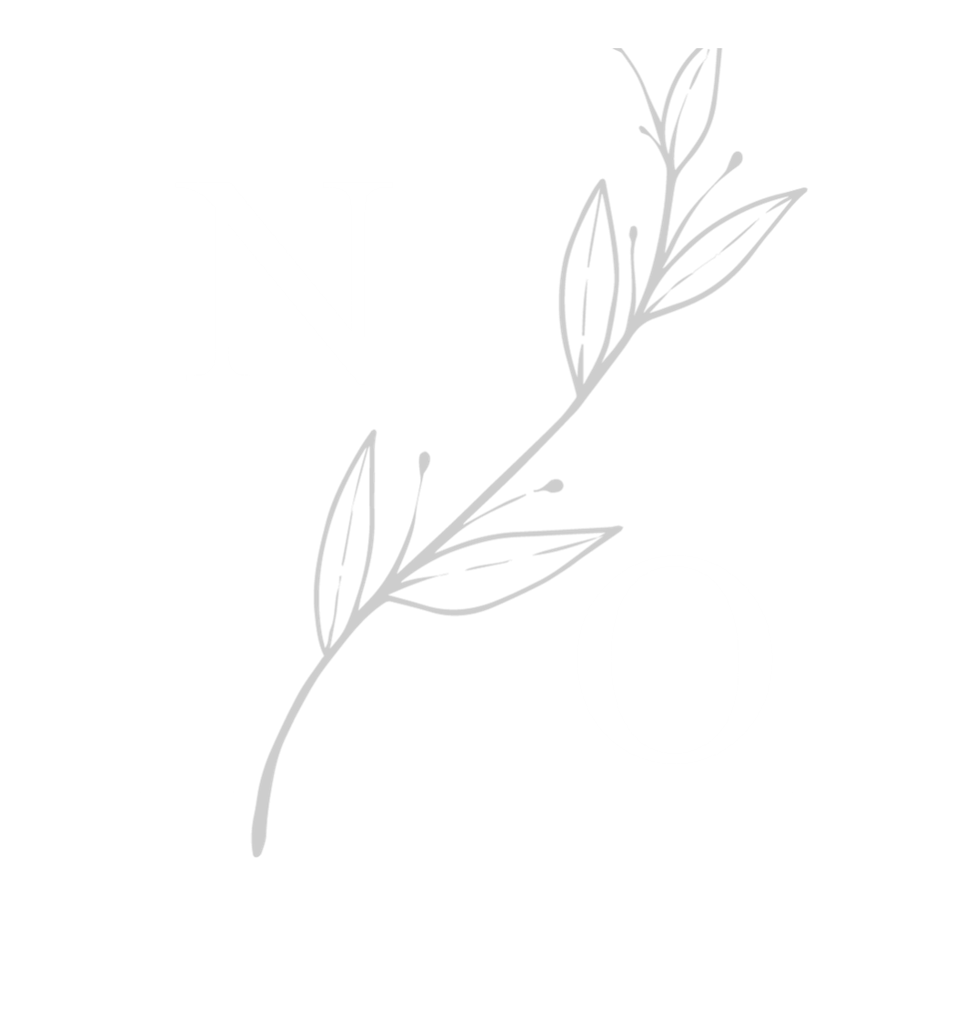 najib olif 1