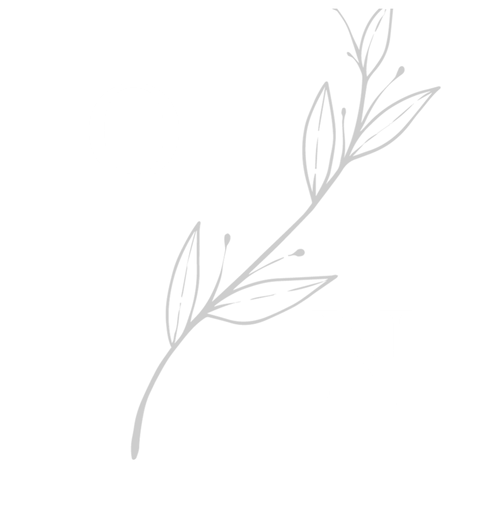 najib olif 2